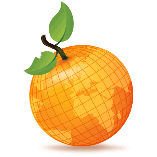 Nowadays Orange Training